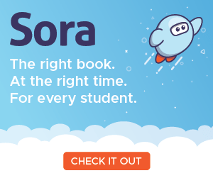 sora app logo